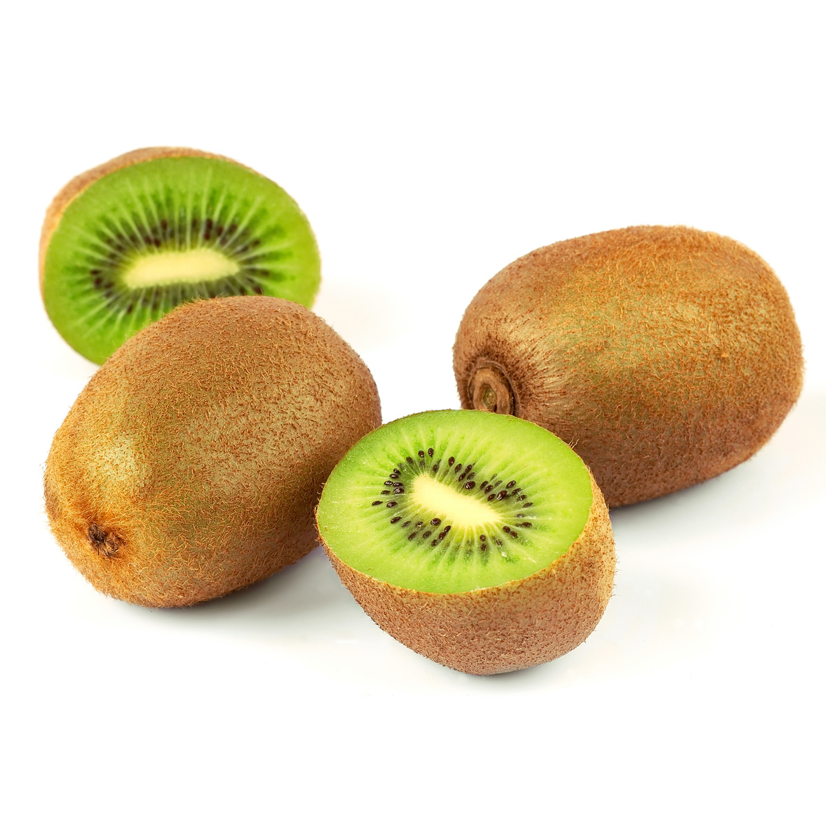 Plant-Based Nutricionizam